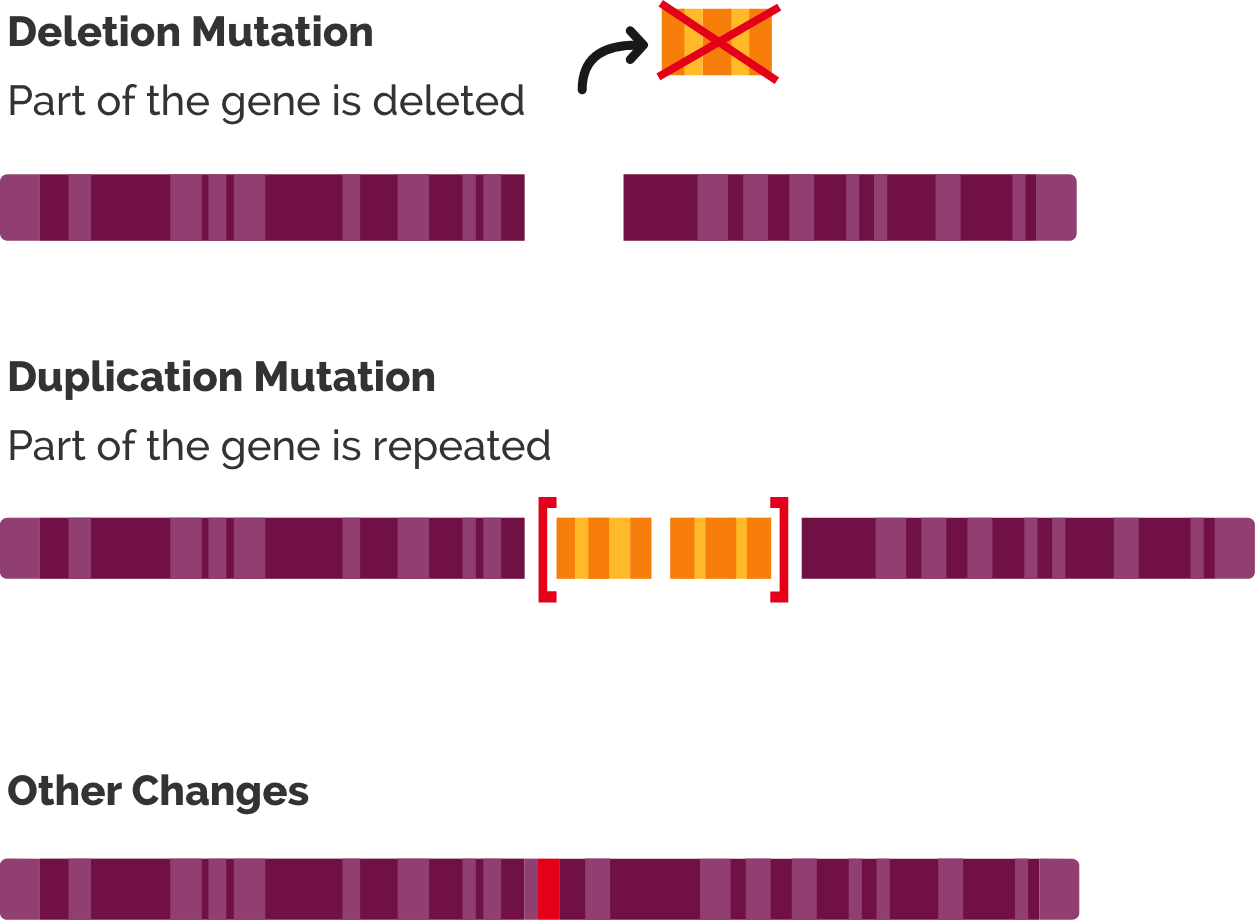 Dna mutation deletion